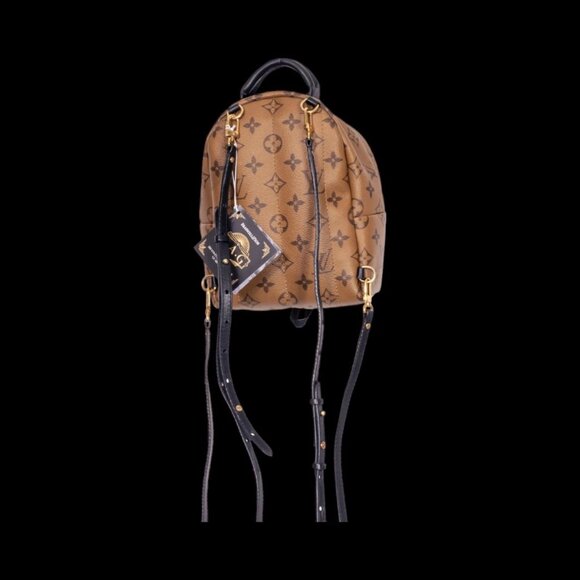 LOUIS VUITTON PALM SPRINGS BACKPACK MINI - Picture 5 of 7